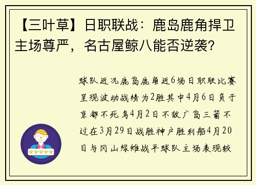 【三叶草】日职联战：鹿岛鹿角捍卫主场尊严，名古屋鲸八能否逆袭？